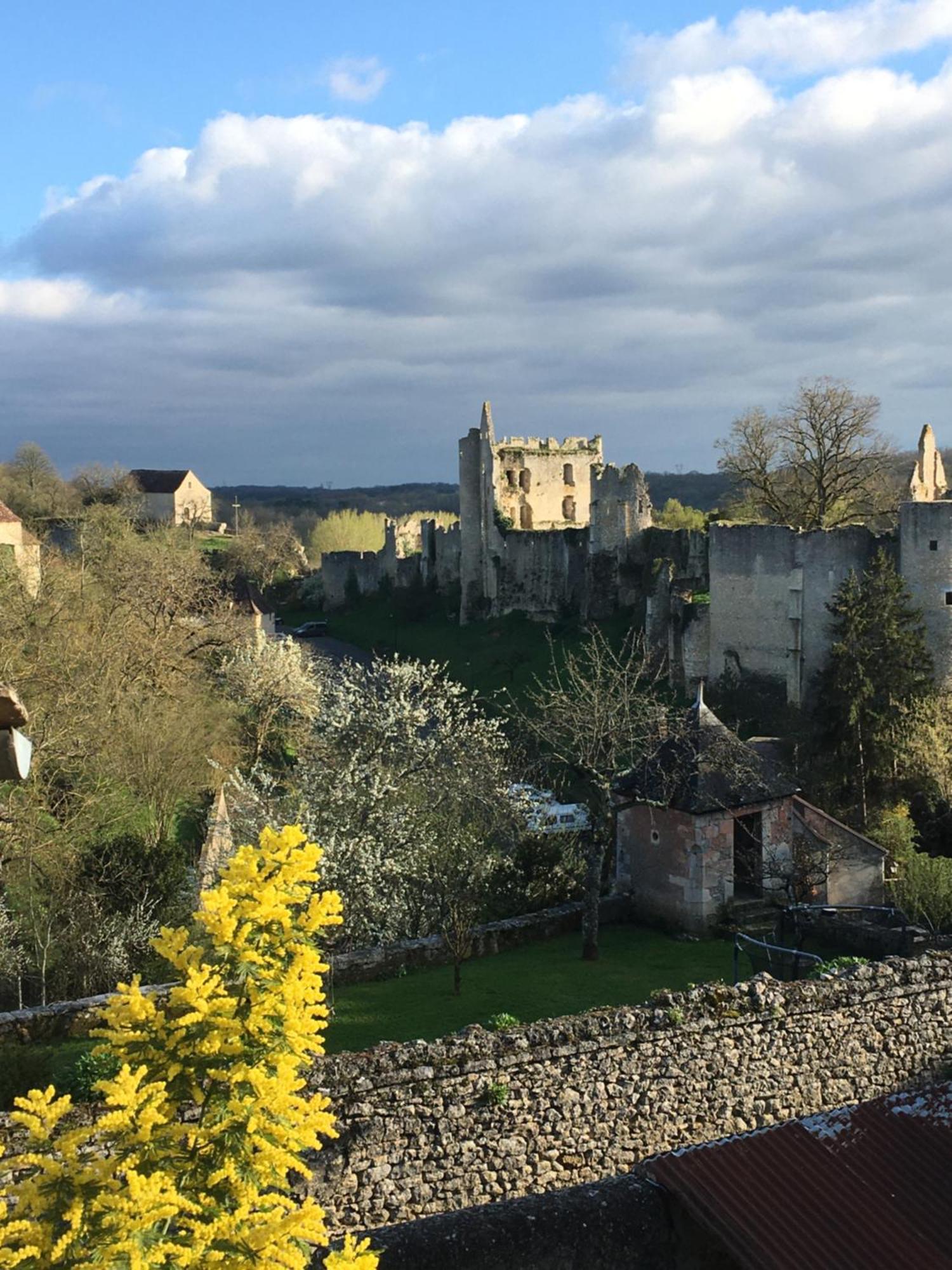 Chez Fred Avec Vue Sur Le Chateau Privatunterkunft Angles-sur-lʼAnglin